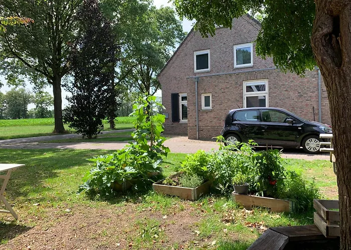 Lis De Maison