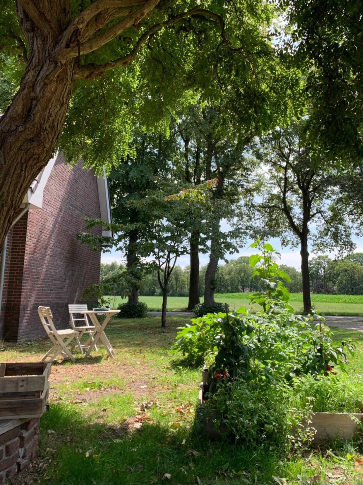 Lis De Maison Bergentheim